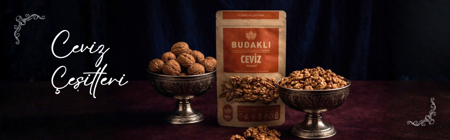 Ceviz Çeşitleri