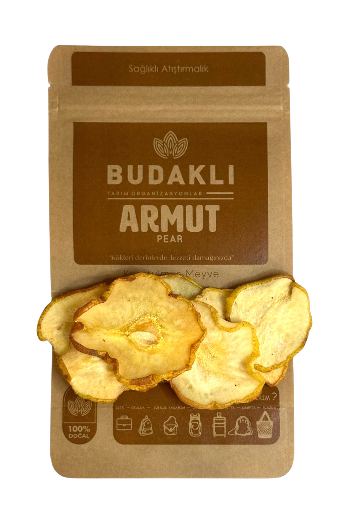 Armut Kurusu 100 Gr. - Görsel 2